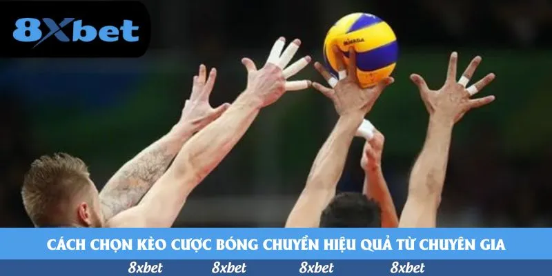 Cách chọn kèo cược bóng chuyền hiệu quả từ chuyên gia