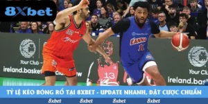 Tỷ lệ kèo bóng rổ